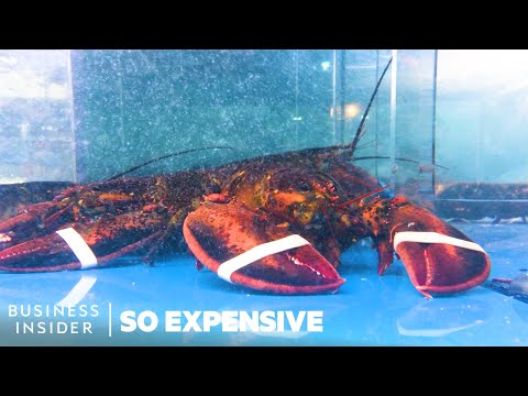 Why Lobster Is So Expensive | So Expensive - UCcyq283he07B7_KUX07mmtA