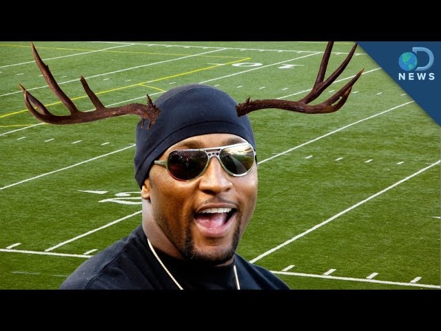 Why Is Deer Antler Banned By the NFL?
