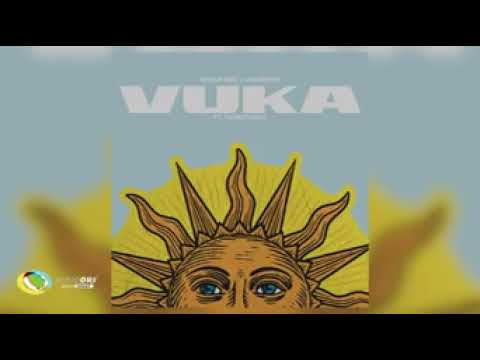 Oscar Mbo & Jazzworx - Vuka (feat. Thukuthela)