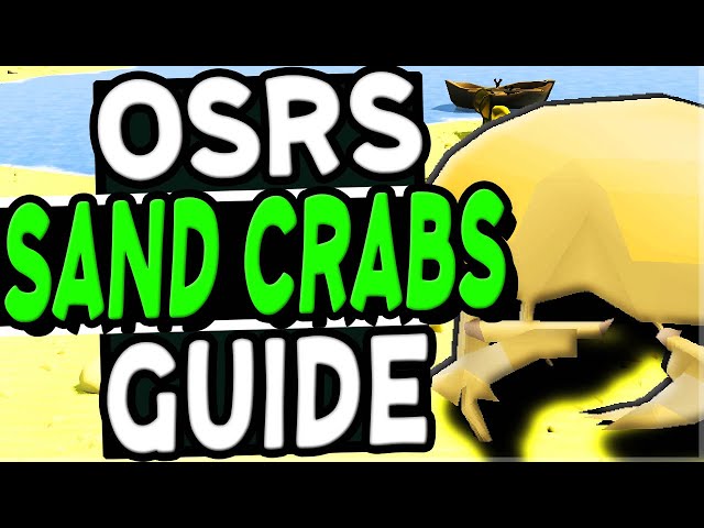 OSRS Sand Crabs Guide - How To Get There + Training Methods