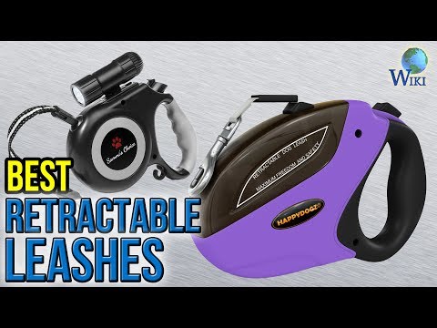 10 Best Retractable Leashes 2017 - UCXAHpX2xDhmjqtA-ANgsGmw