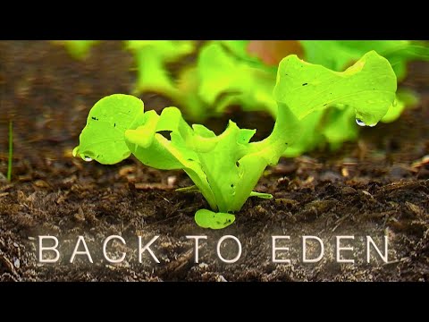 Back To Eden Organic Gardening Film | How to Grow a Vegetable Garden - UCTs-d2DgyuJVRICivxe2Ktg
