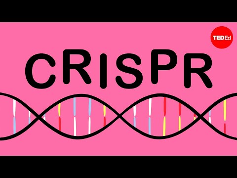 How CRISPR lets you edit DNA - Andrea M. Henle - UCsooa4yRKGN_zEE8iknghZA