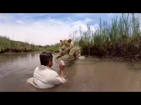 GoPro VR: For the Love of Lions - UCqhnX4jA0A5paNd1v-zEysw