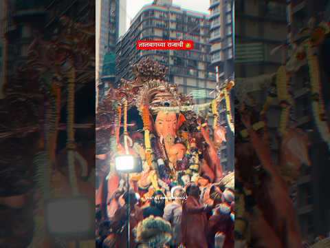 ही शान कोणाची…❤️🙇🏻♂️#shorts #lalbaughcharaja #lalbaug #ganpati #ganpatistatus #ganpatishorts