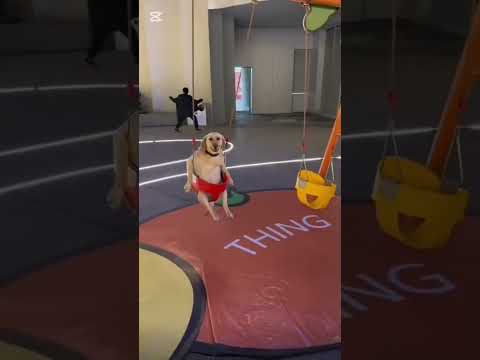 اهم شي عندي ايفون 🤣🤦🏼‍♂️