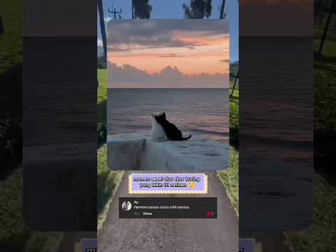 😺 yang jomblo jangan iri ya