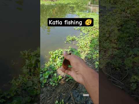 কাতলা মাছ দেখতে পাচ্ছেন? 💥🫨#ytshorts #guess #unfrez #goviral