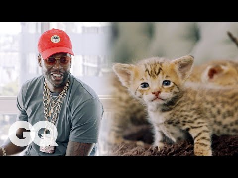 2 Chainz Plays with $165,000 Kittens | Most Expensivest Shit | GQ - UCsEukrAd64fqA7FjwkmZ_Dw