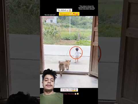 A disabled duckling helps his cat friend🐥#DuckRescue #CuteAnimal #AnimalRescue