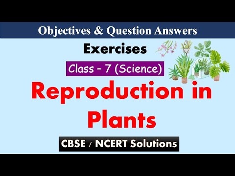Reproduction in Plants || Class : 7 Science | Exercises & Question Answers || CBSE / NCERT