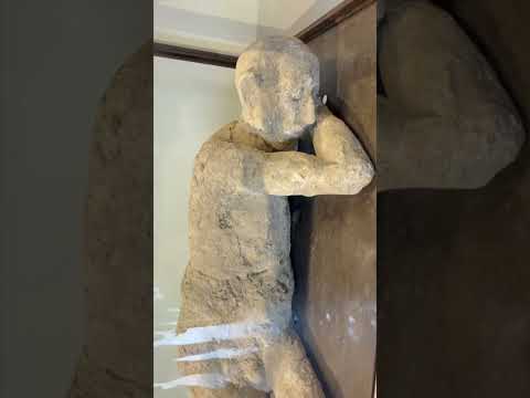 Horror Of Pompeii, Italy 1946 Years Ago😥 #pompeii #Italy #travel  #sad #archaeology #disasterscene