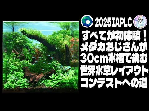 【アクアリウム】メダカおじさんが30センチキューブ水槽で挑む世界水草レイアウトコンテスト（すべてが初体験！苦労や楽しさをお伝えします）
