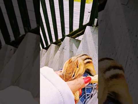 did you say something 🤔 I Love you