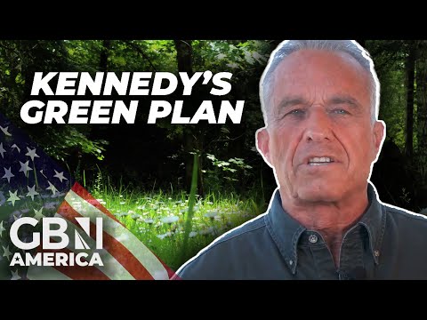 'I'm not going to force everyone to accept climate change' | RFK Jr's environment plan as president