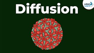 Cell - Diffusion | Don't Memorise