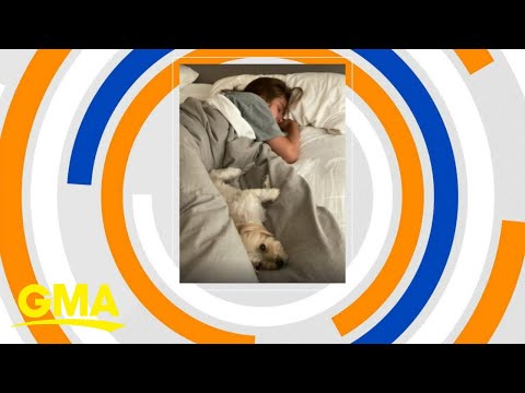 Can sharing a bed with your pet be bad for your health?
