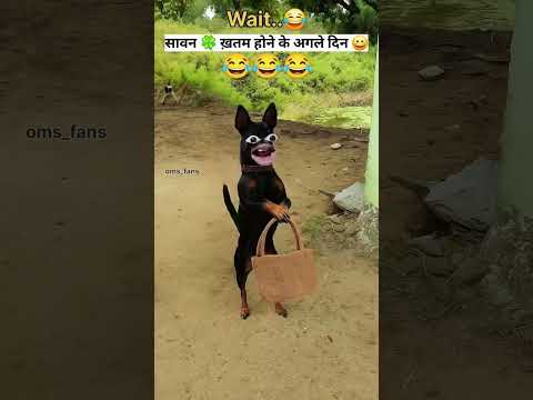 मुर्गा लू या बकरा 🤣🤣 #comedy #funny #video #trending #shorts #short #ytstudio