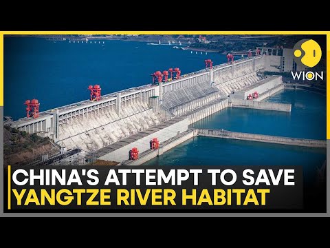 China Demolishes 300 Dams On Chishui He To Protect Yangtze River Habitat | WION