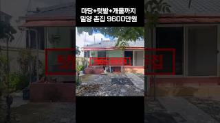 유튜브이미지