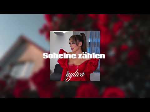 AYLIVA- Scheine zählen (speed up)