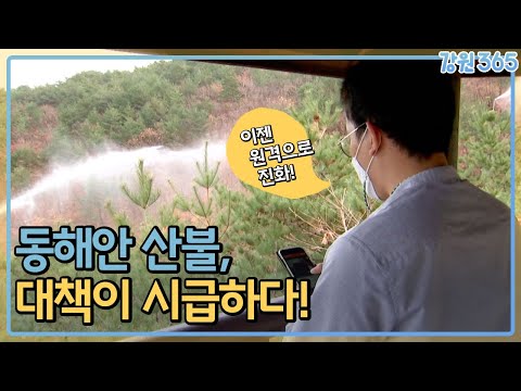 동해안산불, 대책이 시급하다! / MBC강원영동 240131 방송