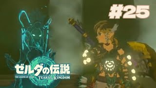 カッコいいはずのムービーが変な装備のせいで台無しです【ゼルダの伝説TotK #25】