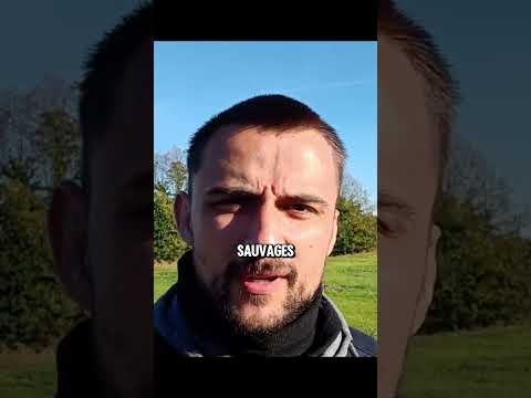 sympa #vlog #randonnée #marche #vue #bretagne #detente #découverte #chill #lifestyle