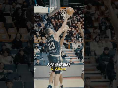 230cm 거인을 만난 KBL 선수들