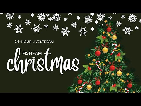 Fishfam Christmas 24-hour Livestream - Part 2 