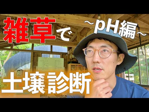 生えている雑草で土壌の酸性度がわかる!診断表を公開します!
