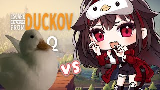 朝活ダッコフChill みんなはアヒルのどこ好き? ボクはお尻! #escapefromduckov