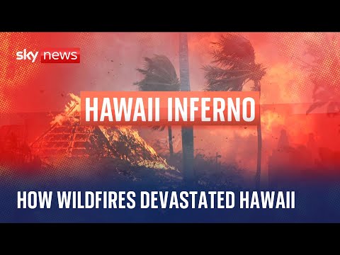 How wildfires took hold of Hawaii