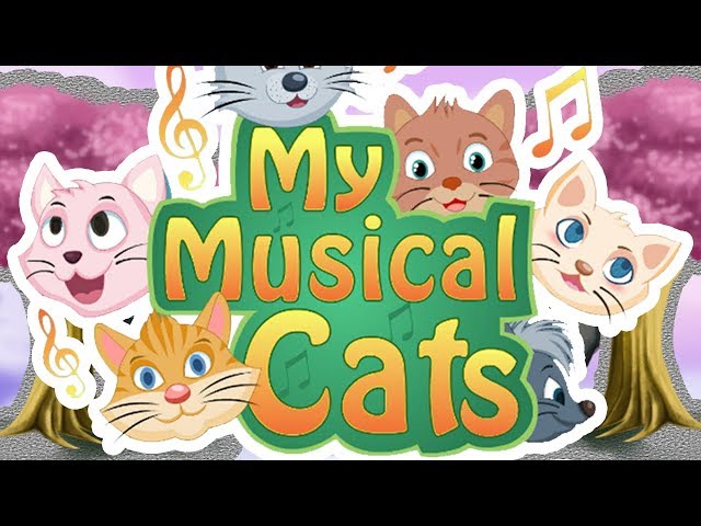 My Musical Cats Rock Island – A New Band on the Scene