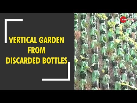 Positive News: This Delhi school has vertical garden from discarded bottles 