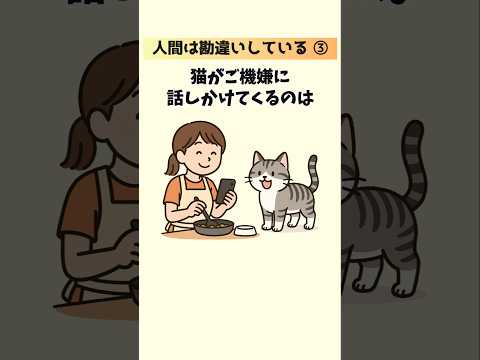 猫の動画サムネイル - 【猫目線の本音】我々人間は完全に勘違いしていた…！猫好きさんへ贈る20の猫の真実③ #猫 #雑学 #豆知識 音声「VOICEVOX：ずんだもん」さん