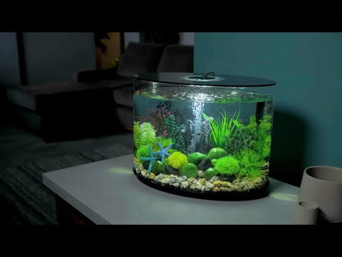 Aquarium Design Inspiration | biOrb LOOP 30