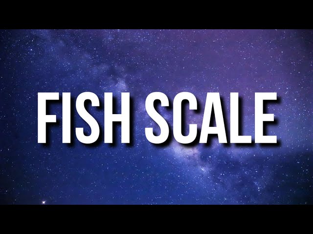 Fish Scale NBA Lyrics You Need to Know