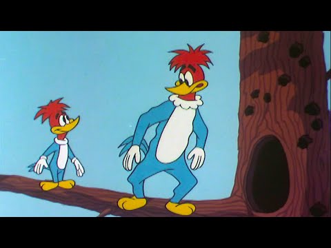 Which One’s the Real Woody? | Woody Woodpecker