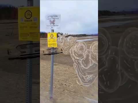 ماذا يرى مريض الفصام ؟ وماهو مرض الفصام schizophrenia وماهي طرق العلاج ؟