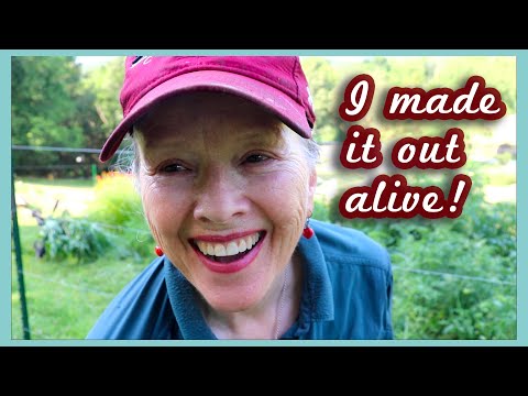 Don't let these WEEDS go to SEED! You'll be sorry!