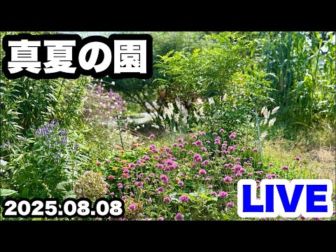 ◆暑いので室内らか♪