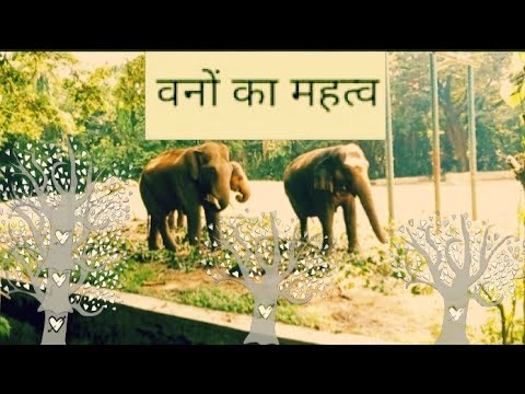 वनों का महत्व अनुच्छेद