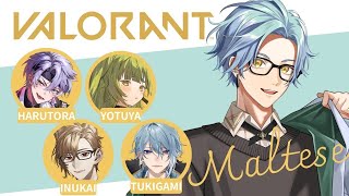 【ヴァロラント】今から初めても良いんですか？【星丸歩凛】