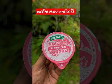 ෂෘලූඩා යෝගට් කෑවද? 😍 SriLankan Faluda yoghurt🇱🇰#food #viral #shorts #healthy