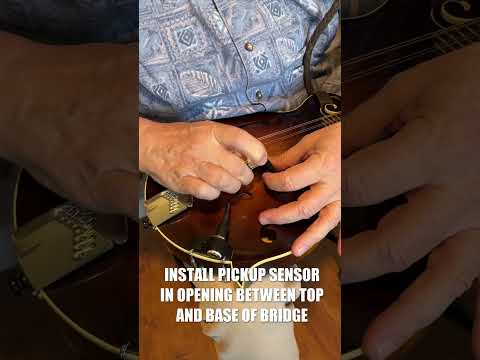 KNA MP-2 - accurate-sounding, mod-free, volume control-equipped, passive mandolin pickup #Shorts