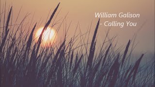 William Galison - Calling You , Harmonica