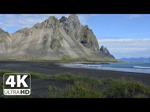 Healing Flute Music for Release of Melatonin and Toxin | Meditation Music | Relax Mind Body