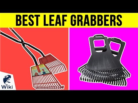 10 Best Leaf Grabbers 2018 - UCXAHpX2xDhmjqtA-ANgsGmw