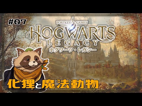 thumbnail_79-sxxUJyoI